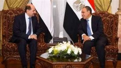 وزير الخارجية يؤكد على موقف مصر الرافض لتهجير الفلسطينيين