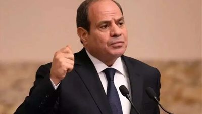 السيسي يعقد مؤتمر الشهر المقبل لمناقشة القضية الفلسطينية والوضع في غزة
