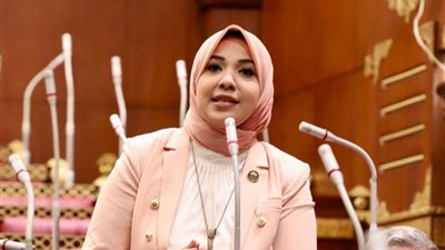 دينا هلالي: كلمة السيسي تعكس الوعي بالتحديات وتدعم حقوق الفلسطينيين