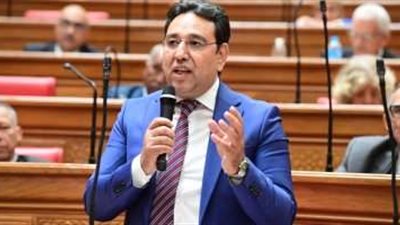 الدكتور أيمن محسب: مصر تدعم القضية الفلسطينية عبر مشاريع إعمار غزة