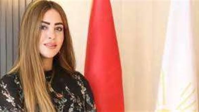 حزب مصر أكتوبر: مصر ستواصل جهودها لإنقاذ الشعب الفلسطيني رغم تعنت الاحتلال