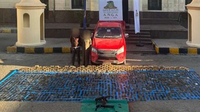 إحباط تهريب 292 كيلو من مخدر الحشيش بالإسكندرية ومطروح بقيمة 24 مليون جنيه
