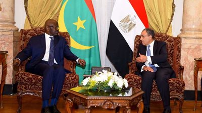 وزير الخارجية يبحث مع نظيريه الموريتاني والبحريني تطورات الأوضاع في غزة