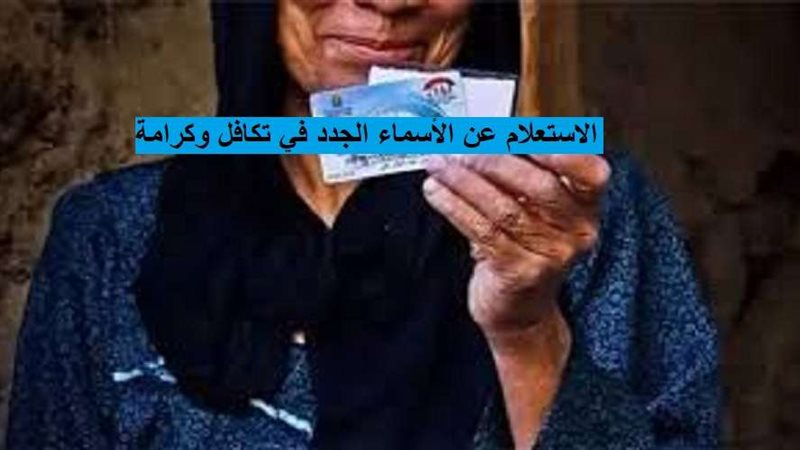 الاستعلام عن الأسماء