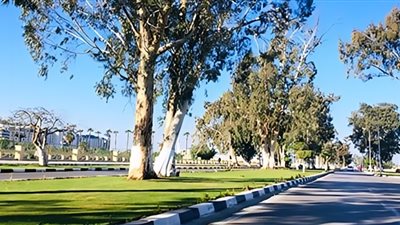 مصر تواصل استقبال دفء الربيع.. ارتفاع تدريجي في درجات الحرارة اليوم الثلاثاء 11 مارس 2025