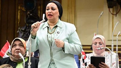 برلمانية :قانون العمل الجديد جاء بتوجيهات من السيسي لتوفير حياة كريمة للعامل