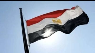 مصر تدين قطع الكهرباء عن غزة وتدعو لتحرك دولي عاجل