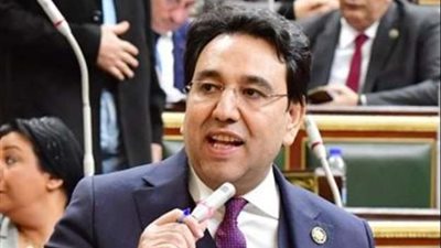 محسب: خطة مصر لإعمار غزة حظيت على تأييد إسلامي ودولي واسع