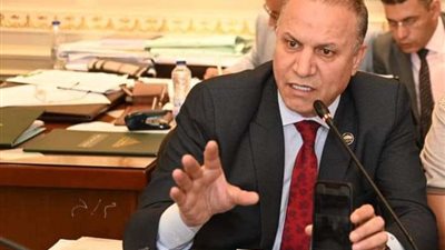 النائب زكي عباس يؤكد التزام مصر الراسخ بالدفاع عن حقوق الشعب الفلسطيني