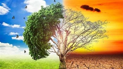 التغيرات المناخية في مصر.. تحديات حتمية ومسارات للحل