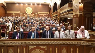 اليوم| مجلس الشيوخ على طاولة الزراعة.. هل تنتهي معاناة تسجيل الأراضي؟