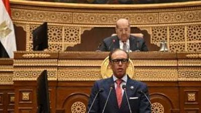 النائب محمد فريد يسلط الضوء على تحديات تسجيل العقارات وحماية الملكية الخاصة