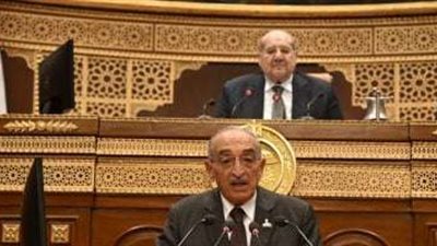 طلب مناقشة أمام مجلس الشيوخ يكشف معوقات تسجيل الأراضي الزراعية بالسجل العيني