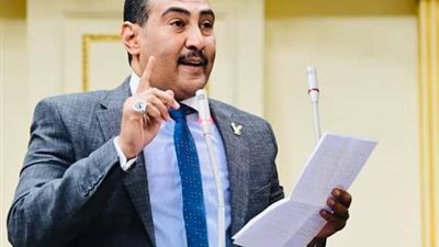 برلماني: مصر تقدم خطة شاملة لإعادة إعمار غزة دون تهجير