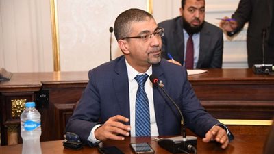 برلماني: الدولة المصرية أثبتت قوتها وقدرتها على فرض سيطرتها على قضايا المنطقة