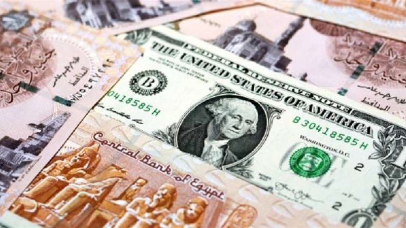 سعر الدولار اليوم