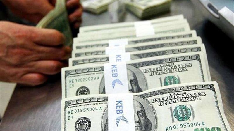 استقرار سعر الدولار