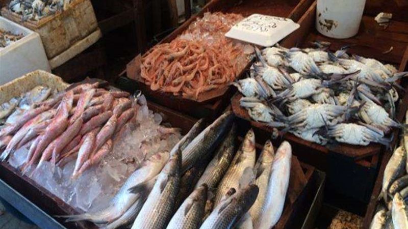 اسعار السمك البلطي