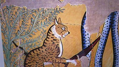 خاص|الخبير الأثري د. أحمد عامر يكشف مكانة الوشق كحارس للمقابر ورمز للقوة في مصر القديمة