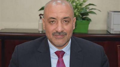 خاص| نائب رئيس شعبة الخضروات: أسعار الثوم الحالية فرصة للتخزين