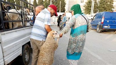 موعد عيد الأضحى 2025 في مصر.. ومظاهر الاحتفال به وأيام الإجازة