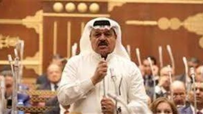 خاص| فايز حرب: أبناء سيناء هم حائط الصد لأي عدوان على حدود مصر الشرقية