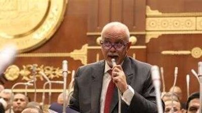 برلماني: مصر تواجه حملة مكثفة من الشائعات بشأن دورها تجاه القضية الفلسطينية