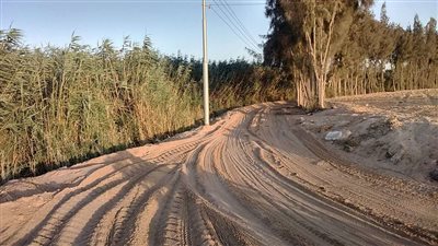 طرق الأقاليم بالإسماعيلية.. حصادٌ للأرواح ومقبرةٌ للسيارات