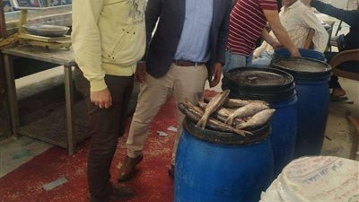 بالصور.. حملات تموينية تسفر عن تحرير مخالفات لمحال ومخابز بالإسماعيلية