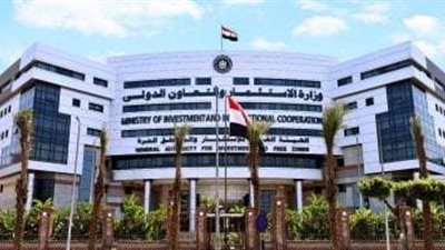 قانون الاستثمار الجديد يفتح آفاقًا لاستثمارات المناطق التكنولوجية في قطاع الاتصالات