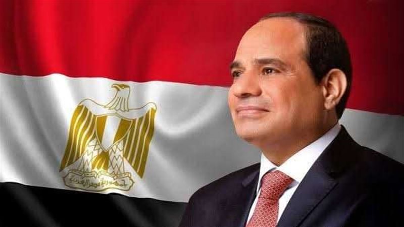 السيد الرئيس عبد