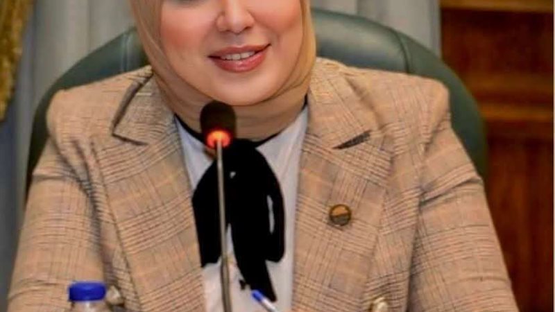 النائبة دينا هلالي،