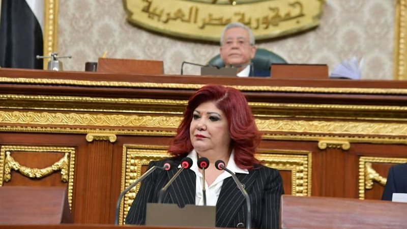 النائبة نورا علي