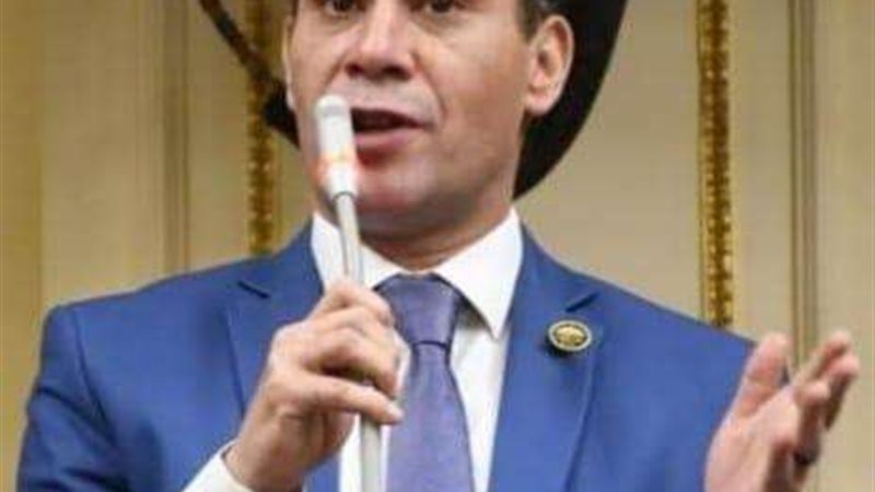 النائب أحمد عاشور