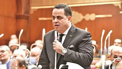 النائب عصام هلال عفيفي يشارك أبناء بلده الحوامدية بالجيزة رفضهم لتهجير الفلسطينيين