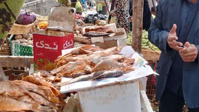 صحة المنيا: حملات رقابية مكثفة على 389 منشأة غذائية