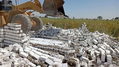 حملات مكبرة لإزالة التعديات علي الأراضي الزراعية وأملاك الدولة بالمنيا