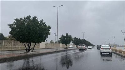طقس الخميس.. انخفاض في الحرارة ورياح نشطة وأجواء متقلبة على بعض المناطق