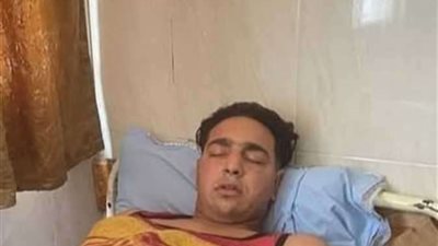 النمر كان جعان ومسعور.. القصة الكاملة لـ حادث سيرك طنطا