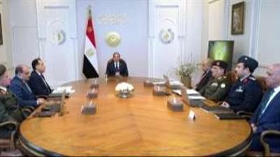 السيسى يؤكد ضرورة تسريع استكمال منظومة التغذية الكهربائية لـ