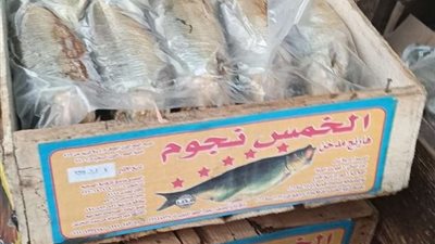 بالصور.. ضبط لحوم غير صالحة وأسماك فاسدة في حملة تموينية اليوم بكفر الشيخ