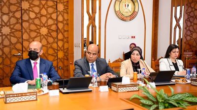 وزير الخارجية يؤكّد ضرورة الحفاظ على الطابع الحضاري والرمزي لمباني البعثات المصرية بالخارج