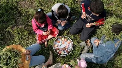 تهنئة شم النسيم بالانجليزي 2025.. عبارات مميزة إرسلها للأهل والأصدقاء