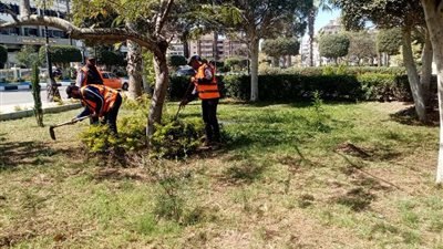 مواصلة الحملات المكثفة لتجميل وصيانة المسطحات الخضراء وميادين الإسماعيلية ثان أيام عيد الفطر