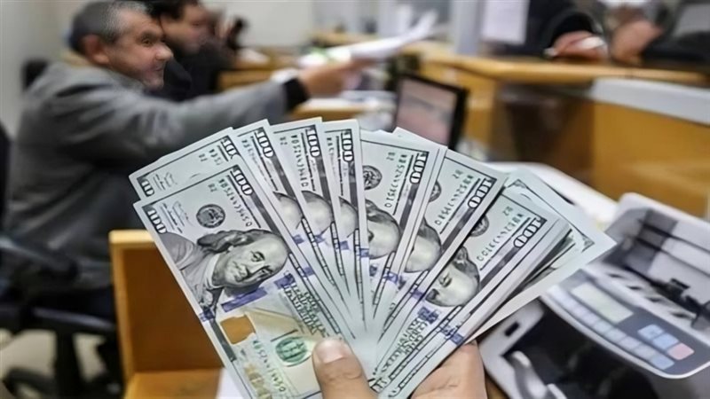 سعر الدولار اليوم