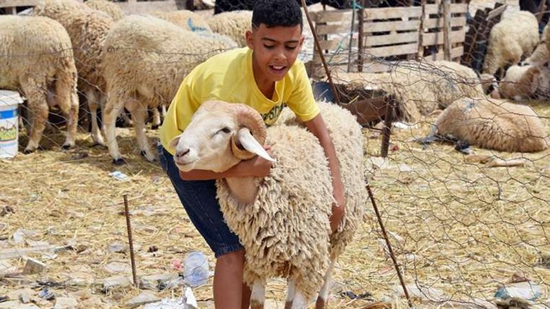 موعد العيد الكبير