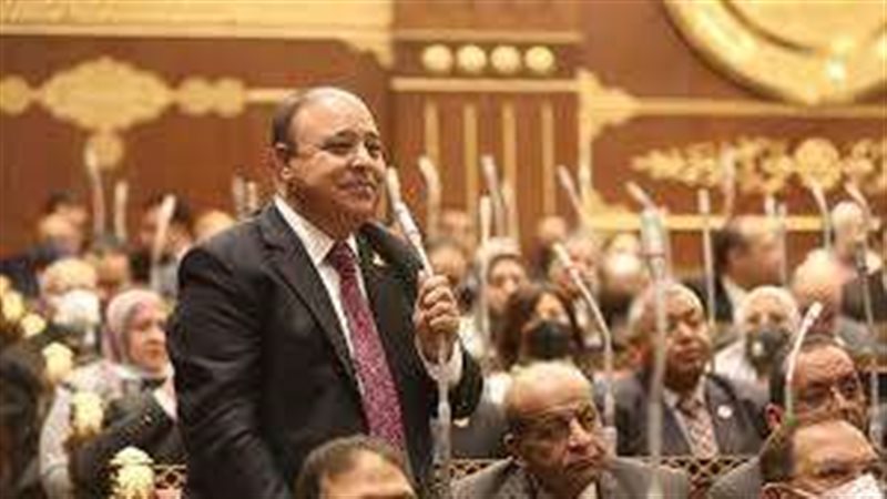 النائب الدكتور حسين