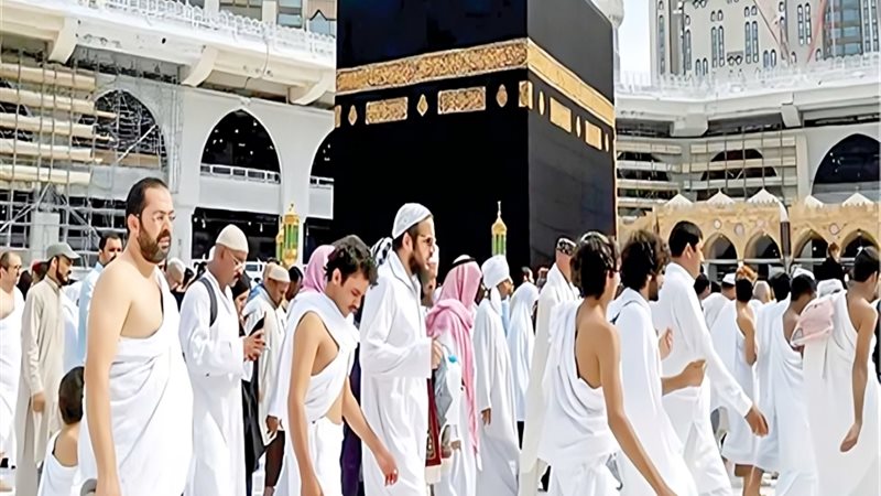 التضامن الاجتماعي