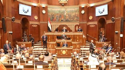 خاص| اقتصادية الشيوخ: مصر تمتلك التنافس الشريف القادر على جذب المستثمرين