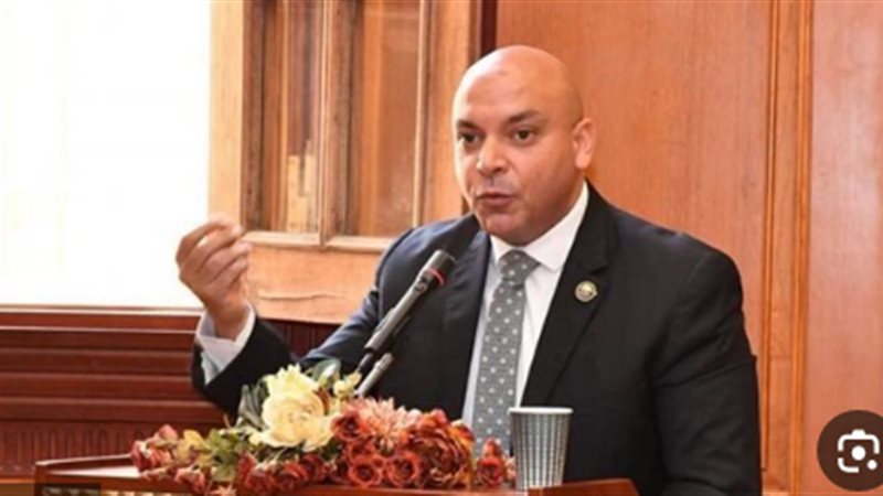 النائب محمود القط